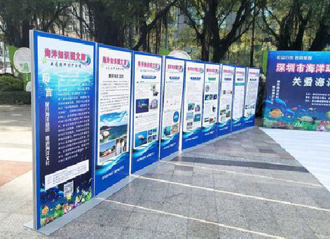 德钦KT板的种类和知识。